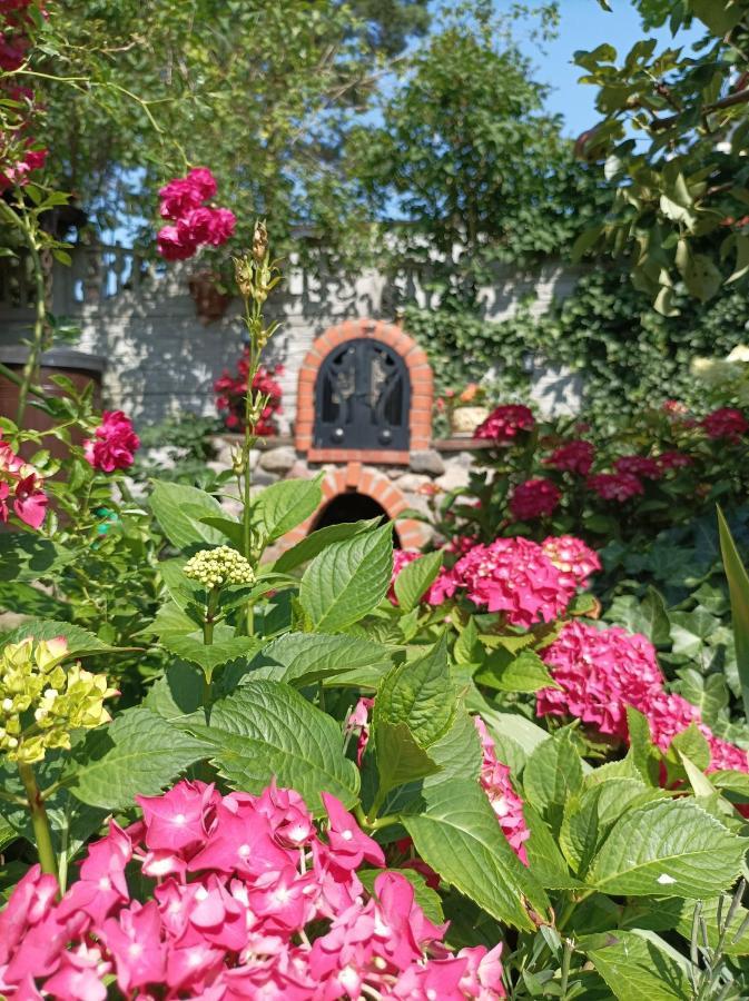 Appartamento Pod Jaskolka Ustka Esterno foto